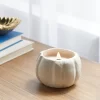 12oz Brushed Abstract Pumpkin Ceramic With Woodwick And Dustcover Dried Leaves + Hickory Candle - Threshold™ -Best Homewares Store GUEST 7d91ce14 7ba3 41b6 a71f 038ed8099dba