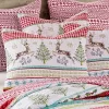 Comet & Cupid King Sham - Levtex Home -Best Homewares Store GUEST 859b6ac3 4835 4147 8693 87146d1905bc