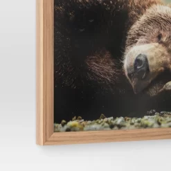 20" X 16" Bear Photography Framed Art Brown - Threshold™ 7 20" X 16" Bear Photography Framed Art Brown - Threshold™ -Best Homewares Store GUEST 8d29808a 8d0a 4121 a8c8 64d15cc45658