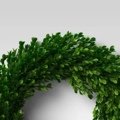 21.25" Preserved Boxwood Wreath - Threshold™ -Best Homewares Store GUEST bd029a70 1da0 4655 86eb 9427f613fc99