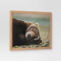 20" X 16" Bear Photography Framed Art Brown - Threshold™ 6 20" X 16" Bear Photography Framed Art Brown - Threshold™ -Best Homewares Store GUEST bdd5f4cc 4d39 4967 a892 83937e1fe495